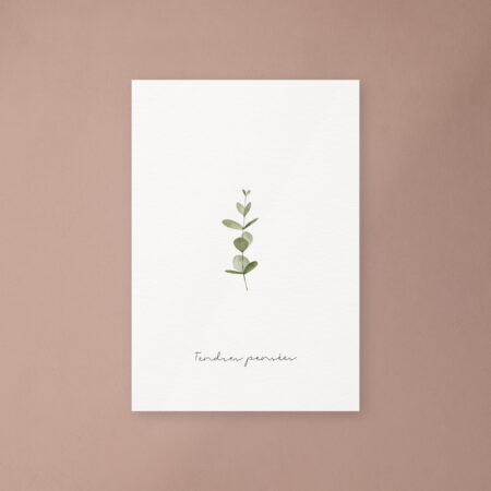 Tendre pensées - Eucalyptus